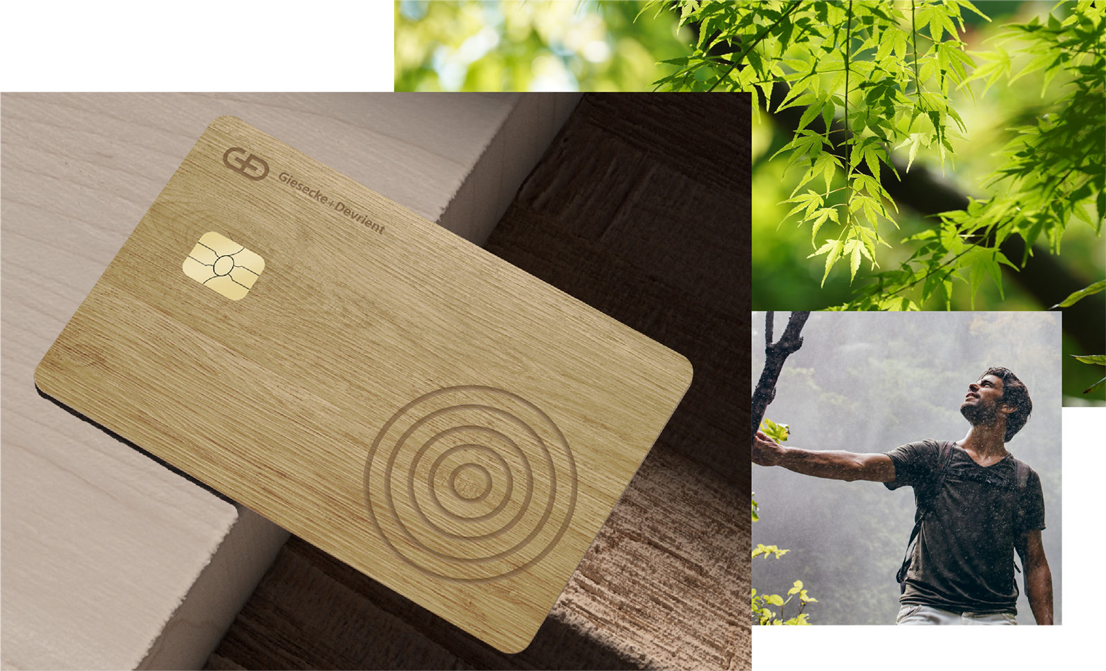 GD-Premium-Cards-Money2020-Wood-Collage